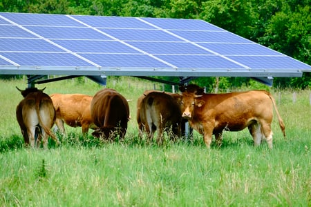 Valeco 2